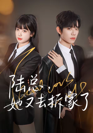 陆总，她又去拆家了（80集）最热短剧推荐