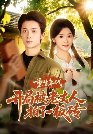 重生年代开局被老丈人拍了一板砖（82集）在线观看