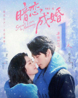 暗恋成婚（60集）火爆热门短剧