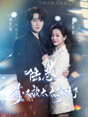 陆总，你又被太太算计了（70集）全集完整版