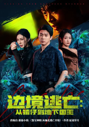 边境逃亡：从猪仔到地下国王（81集）高清画质免费看