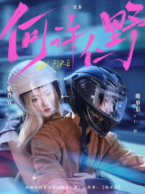 何许仁野（60集）红果短剧看全集