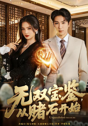 无双宝鉴，从赌石开始（70集）番茄短剧免费看