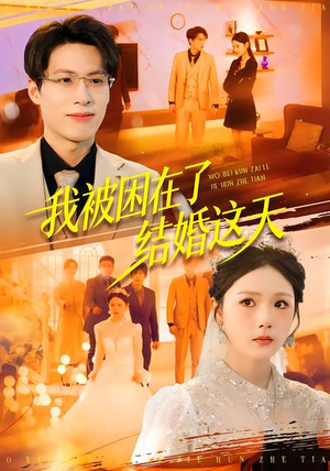 我被困在了结婚这天（40集）番茄短剧看全集