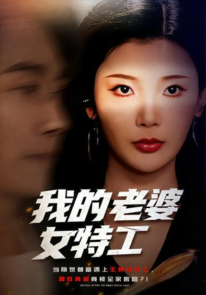 我的老婆女特工（62集）免费看
