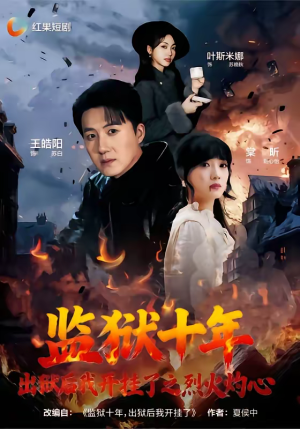 监狱十年，出狱后我开挂了之烈火灼心（80集）短剧解说热门