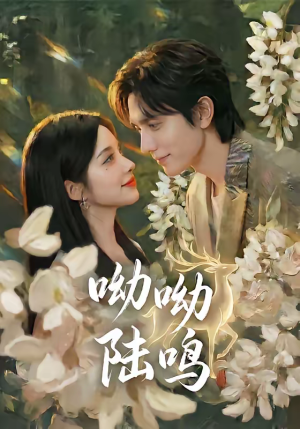 呦呦陆鸣（67集）爆款热门短剧