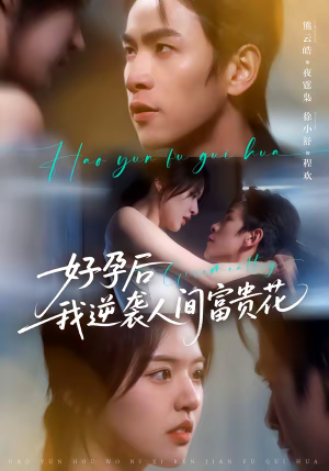 夜先生的小欢喜（71集）热门短剧大全