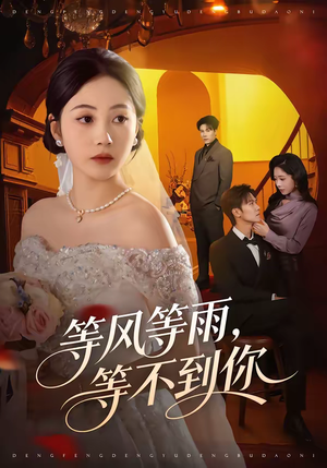 等风等雨，等不到你（65集）红果免费看短剧
