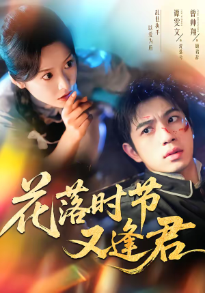 花落时节又逢君（61集）最热短剧推荐