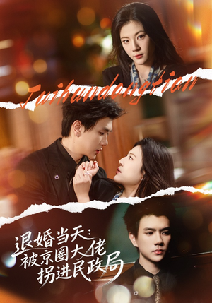 退婚当天：被京圈大佬拐进民政局（80集）精彩短剧推荐