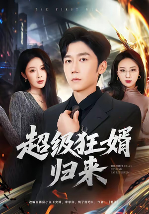 超级狂婿归来（81集）免费看短剧