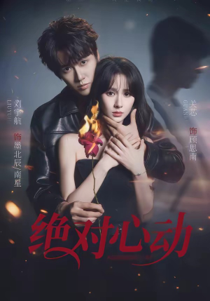 绝对心动（66集）免费在线看