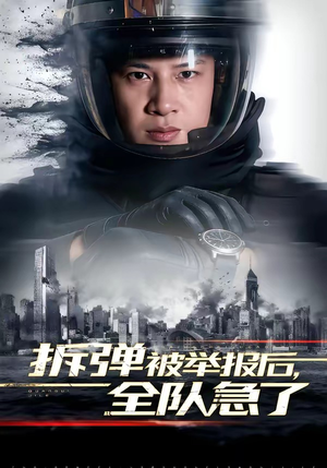 拆弹被举报后,全队急了(50集) 拆弹被举报后,全队急了(50集)在哪个app能看