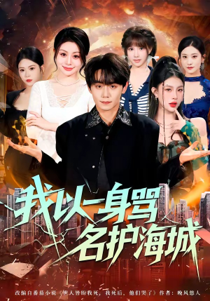 我以一身骂名护海城（79集）免费短剧片段
