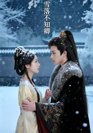 雪落不知卿（62集）短剧抢先看
