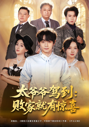 太爷爷驾到：败家就有惊喜（80集）热门短剧免费看