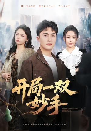 开局一双妙手（66集）男主角是谁