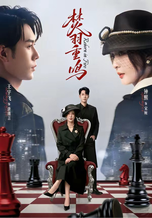 焚羽重鸣（60集）短剧热播推荐