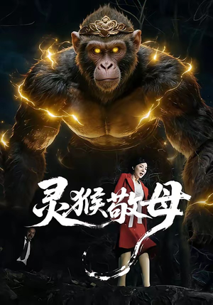 灵猴敬母（50集）爱上了这部剧了