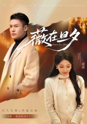 薇在旦夕（80集）推荐你们也去看