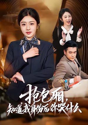 抢包厢，知道我身份后你哭什么（70集）红果免费短剧