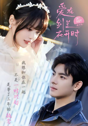 爱在剑兰花开时（56集）贝贝短剧分享