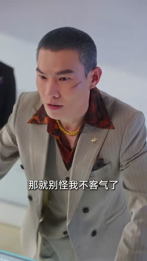 乡野技师：靠一双手征服大老卷（80集）第二季