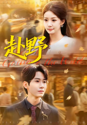 赴野（40集）最近很火的短剧