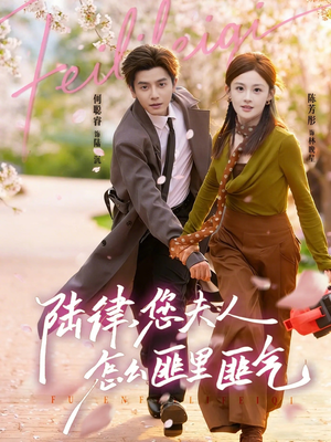 陆律，您夫人怎么匪里匪气（60集）全部免费看全集