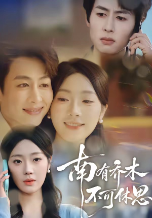 南有乔木，不可休思（68集）全集都在这里了