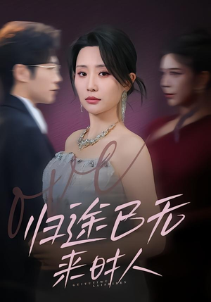 归途已无来时人（70集）全季一次看完