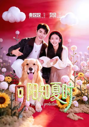 向阳知夏时（80集）热门短剧抢先