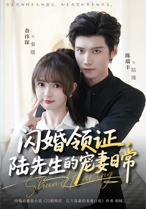 闪婚领证，陆先生的宠妻日常（86集）免费观看完整版