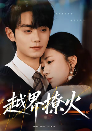 越界撩火（64集）夸克网盘观看