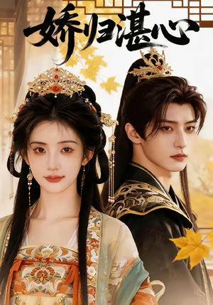 娇归湛心（48集）男主角是谁