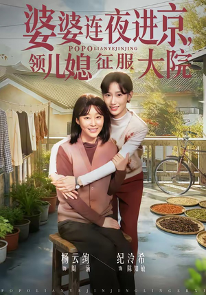 婆婆连夜进京，领儿媳征服大院（78集）火爆热门短剧