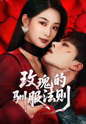 玫瑰的驯服法则（65集）短剧