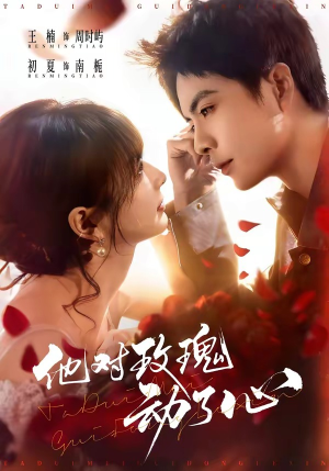 他对玫瑰动了心（68集）好看吗