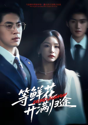 等鲜花开满归途（61集）抢先看热门短剧