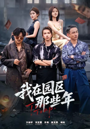 我在园区那些年（61集）免费观看