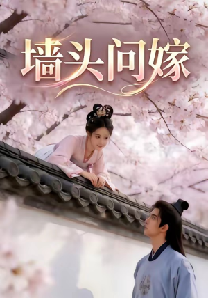 墙头问嫁（29集）短剧解说热门