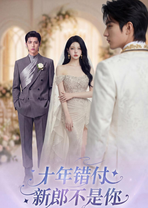 十年错付，新郎不是你（51集）免费观看就是爽