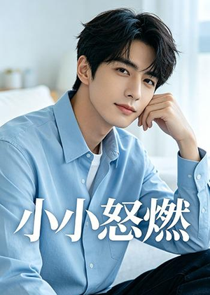 小小怒燃（19集）零花钱看整部剧