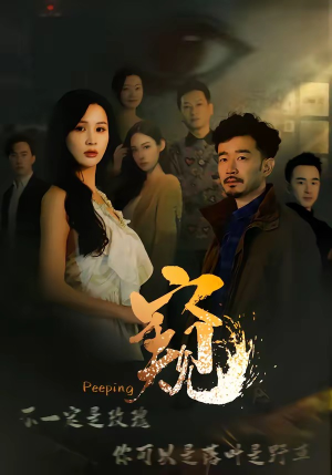 窥（37集）分享好看短剧