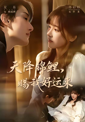 天降锦鲤，赐我好运来（60集）免费热门短剧