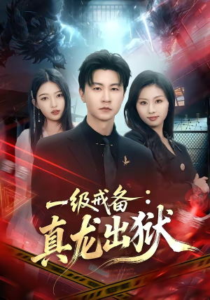 一级戒备：真龙出狱（73集）全集下载