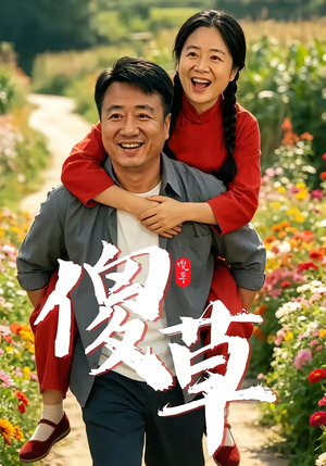 傻草（71集）视频在线看