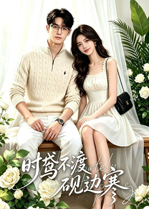 时鸢不渡砚边寒（41集）热门短剧排行榜