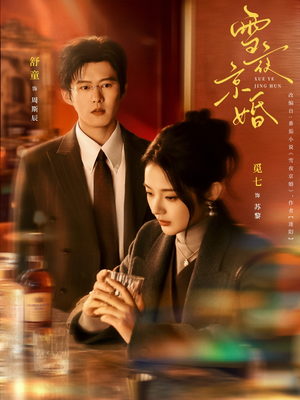 雪夜京婚（84集）短视频追剧推荐